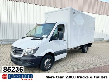 Panel van MERCEDES-BENZ Sprinter 313