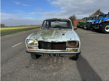 Car Peugeot 304: picture 4