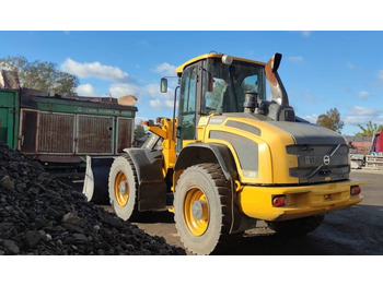 Wheel loader Volvo L 45 G: picture 3