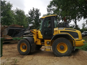 Wheel loader Volvo L 45 G: picture 4