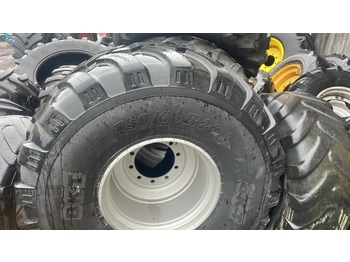 Wheel and tire package