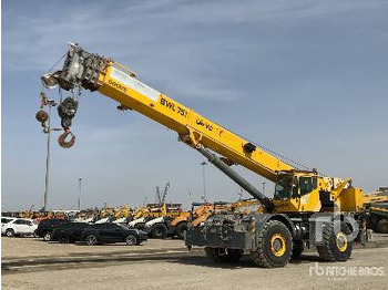 Rough terrain crane GROVE