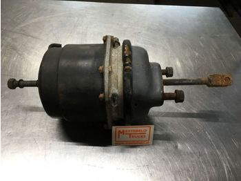 Brake cylinder DAF