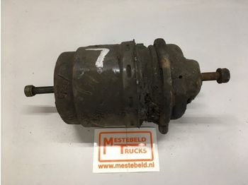 Brake cylinder DAF