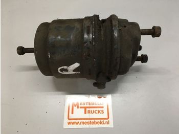 Brake cylinder DAF