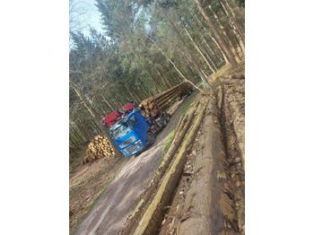 Timber truck VOLVO FH16 700