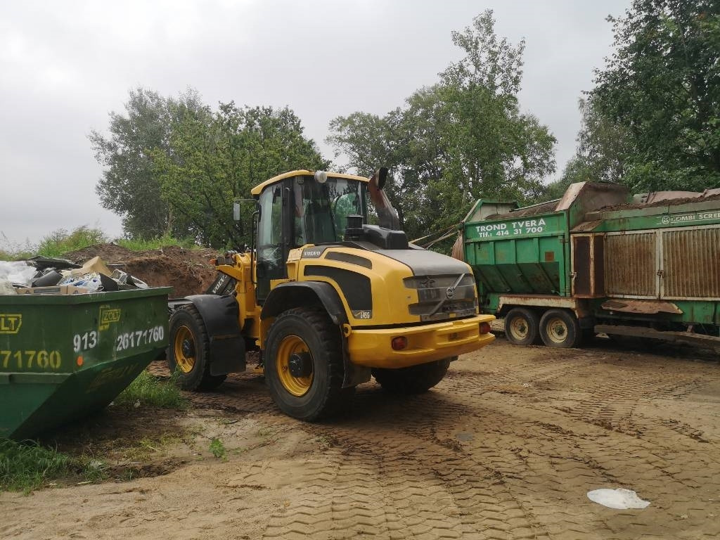 Wheel loader Volvo L 45 G: picture 6